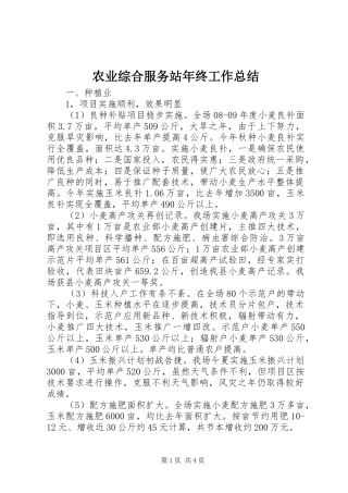 农业综合服务站年终工作总结