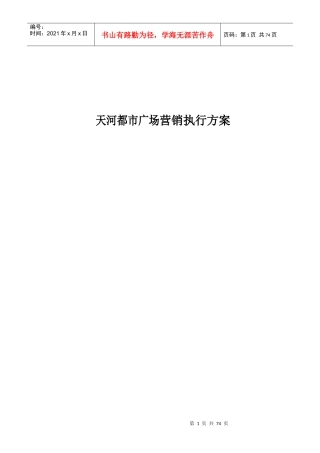 天河都市广场营销执行方案