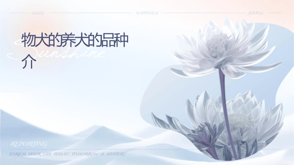 宠物犬的饲养犬的品种介绍护理课件_第1页