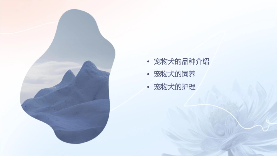 宠物犬的饲养犬的品种介绍护理课件_第2页