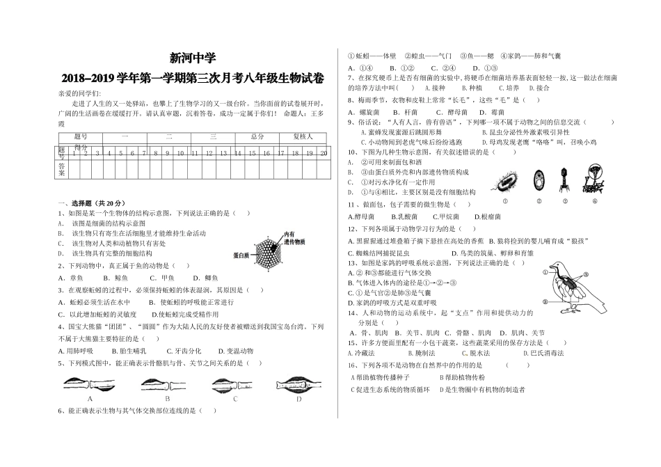 新河第一学期八年级生物第三次月考试卷 _第1页