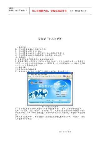 个人消费者实验分析