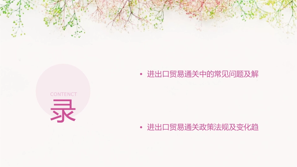 进出口贸易通关问题全面解答课件_第2页