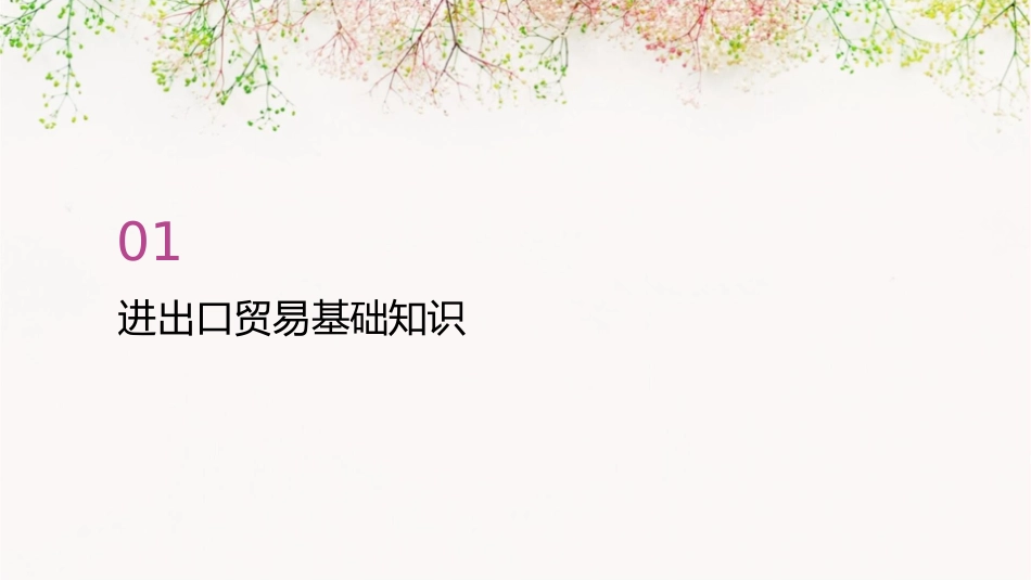 进出口贸易通关问题全面解答课件_第3页