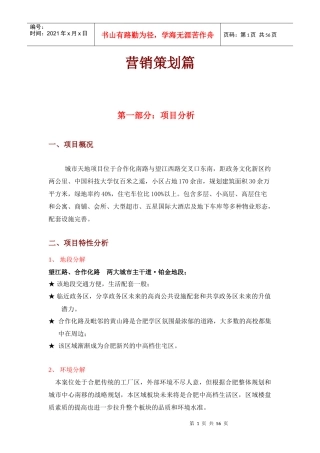 合肥市城市某项目营销策划方案