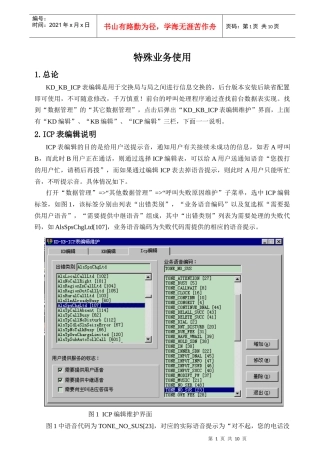ZXJ10(V10)交换机 特殊业务使用