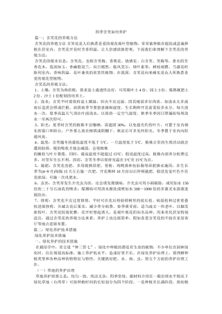 四季含笑如何养护 