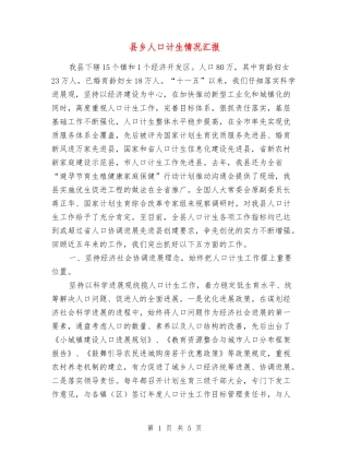 县乡人口计生情况汇报