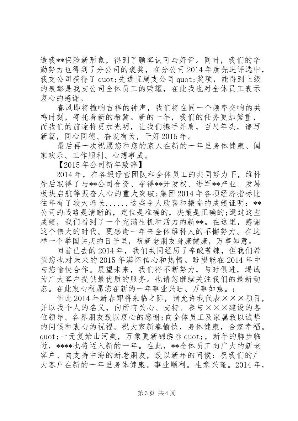 年总结及年新年致辞_第3页