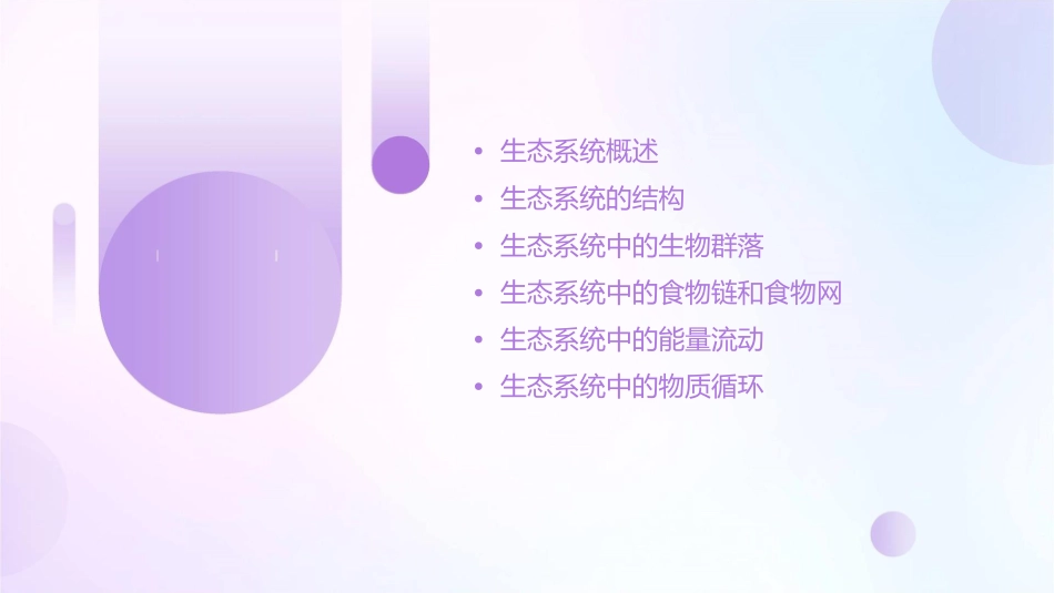 生态系统的结构资料课件_第2页