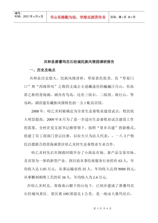 对共和县唐蕃玛尼石经城民族风情园的调研报告
