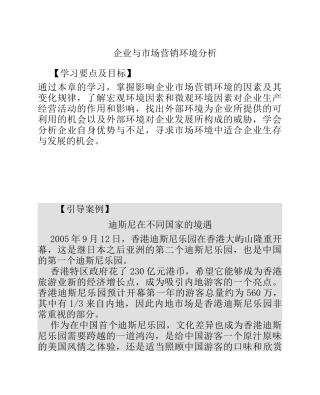 市场分析--企业与市场营销环境分析