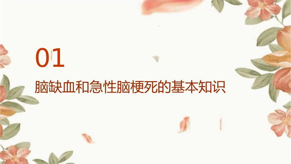 脑缺血 急性脑梗死影像学表现护理课件_第3页