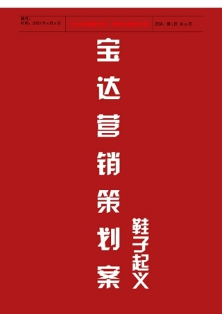 宝达营销策划案