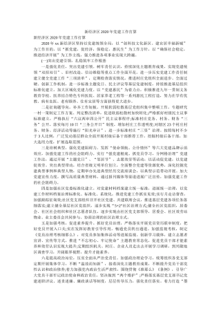 新经济区2020年党建工作计划 