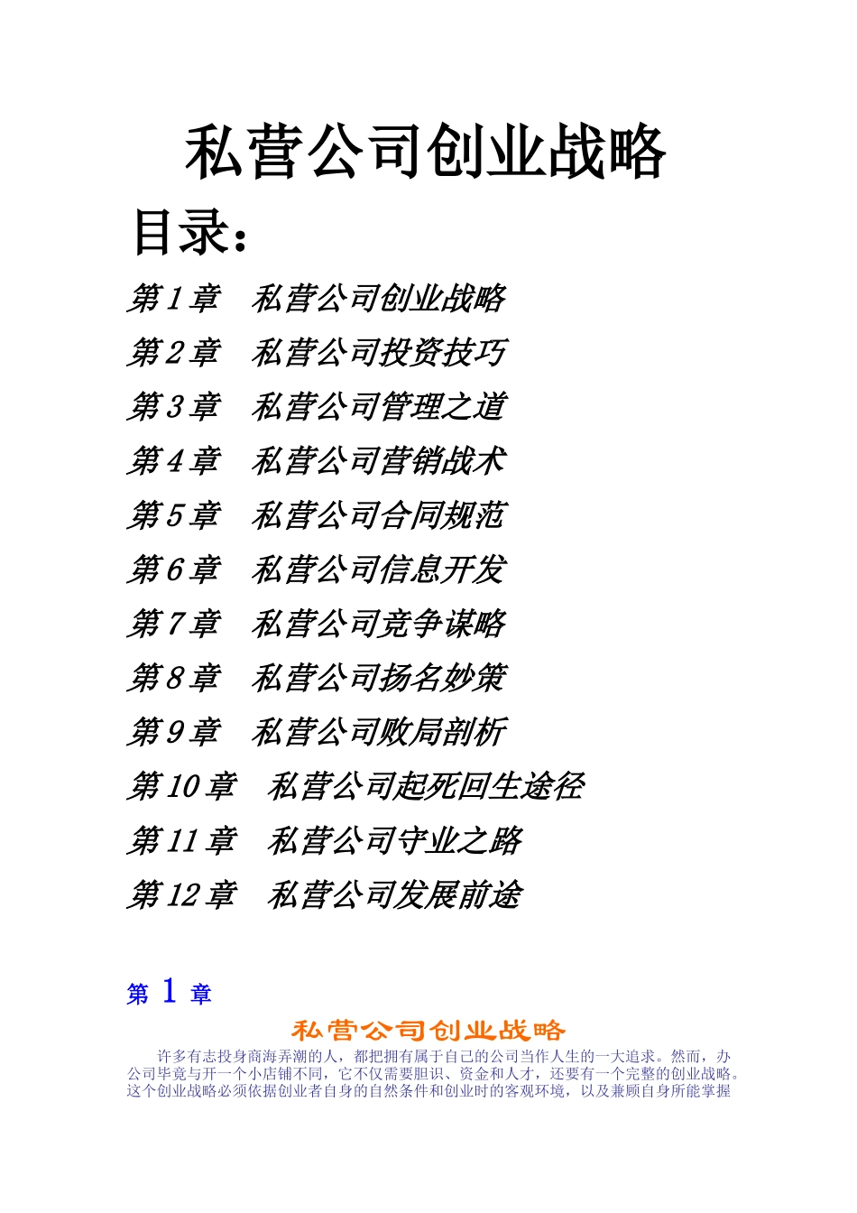 私营公司创业战略_第1页