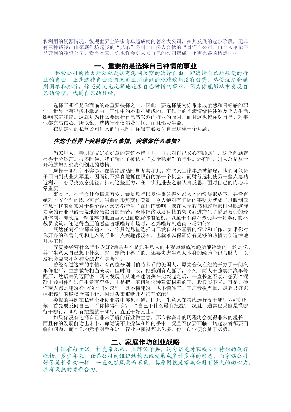 私营公司创业战略_第2页