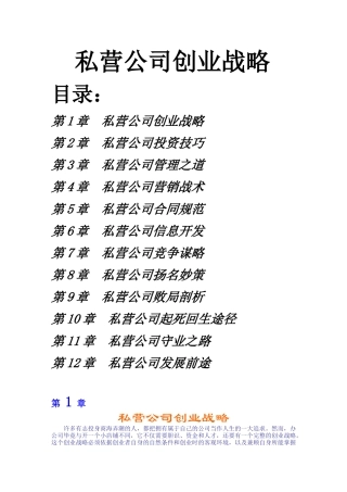 私营公司创业战略