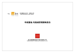 德思勤——某地产武汉凤凰城营销策略报告1110304729