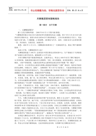 天狮集团营销策略报告
