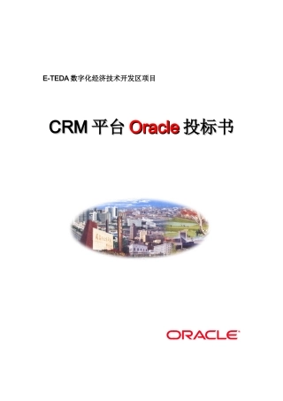 CRM平台Oracle技术服务