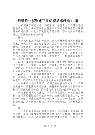 纪录片一抓到底正风纪观后感精选12篇