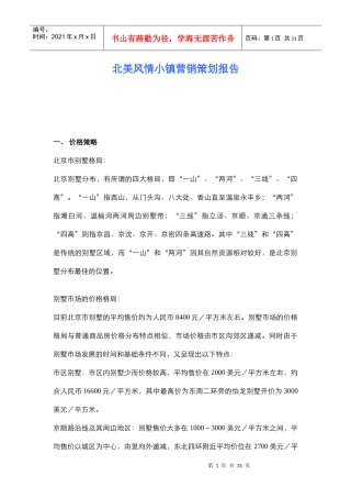 北美风情小镇营销策划报告