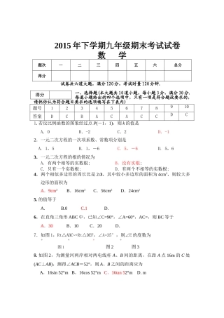 新化县下学期九年级数学期末考试试卷及答案 