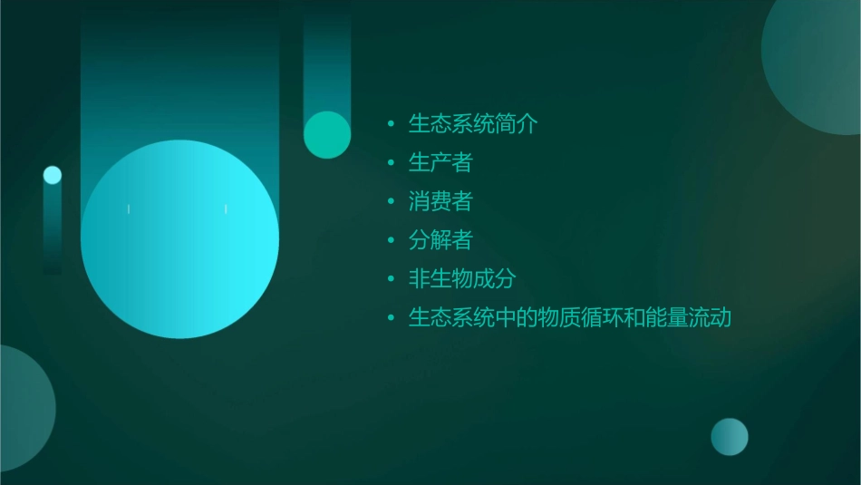 第四节生态系统课件_第2页