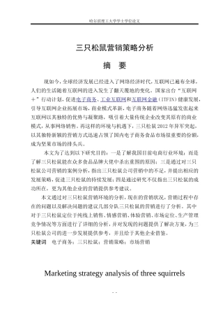 三只松鼠营销策略分析(DOC39页)