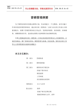 XX营销管理全案资料