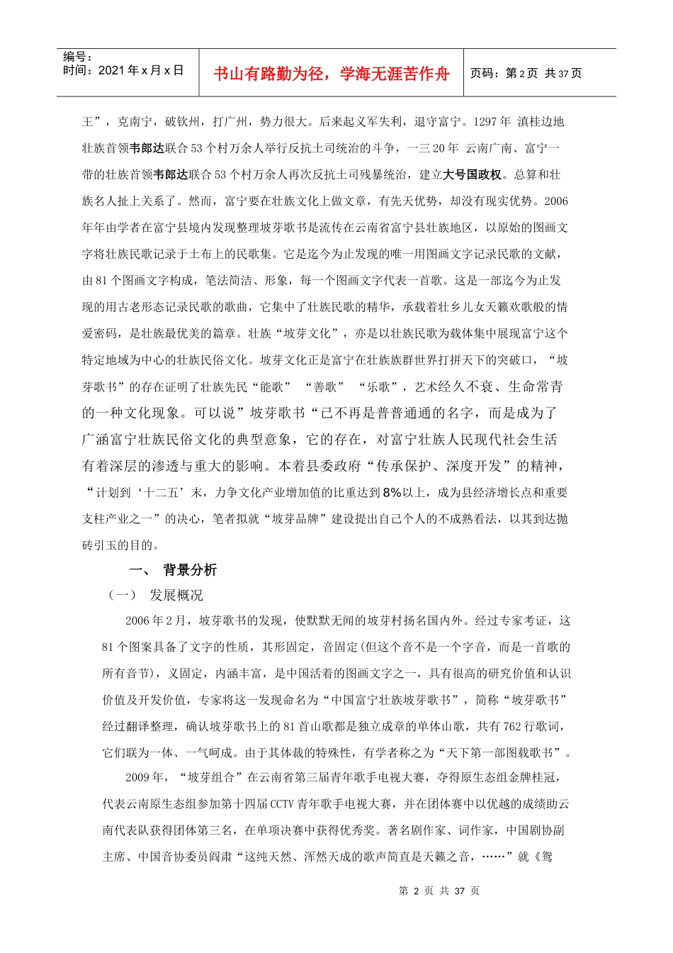 中国富宁壮族坡芽文化品牌整合营销策划_第2页