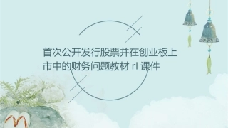 首次公开发行股票并在创业板上市中的财务问题教材rl课件
