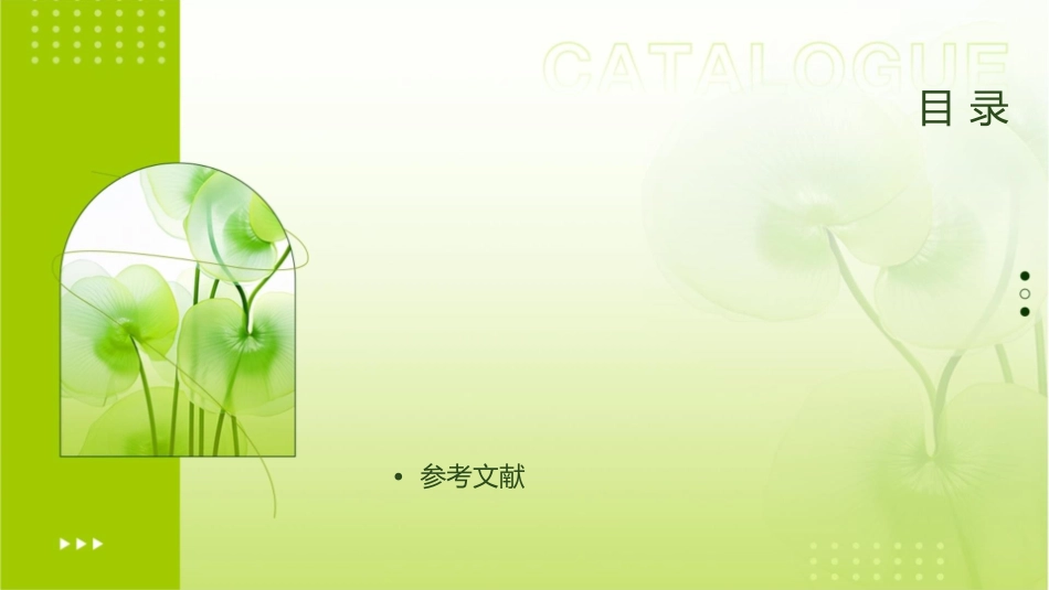 时速度选择器磁流体发电机专题课件_第2页