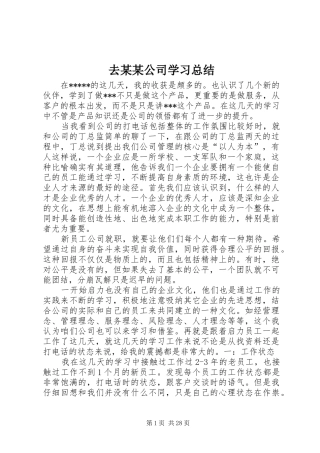 去某某公司学习总结