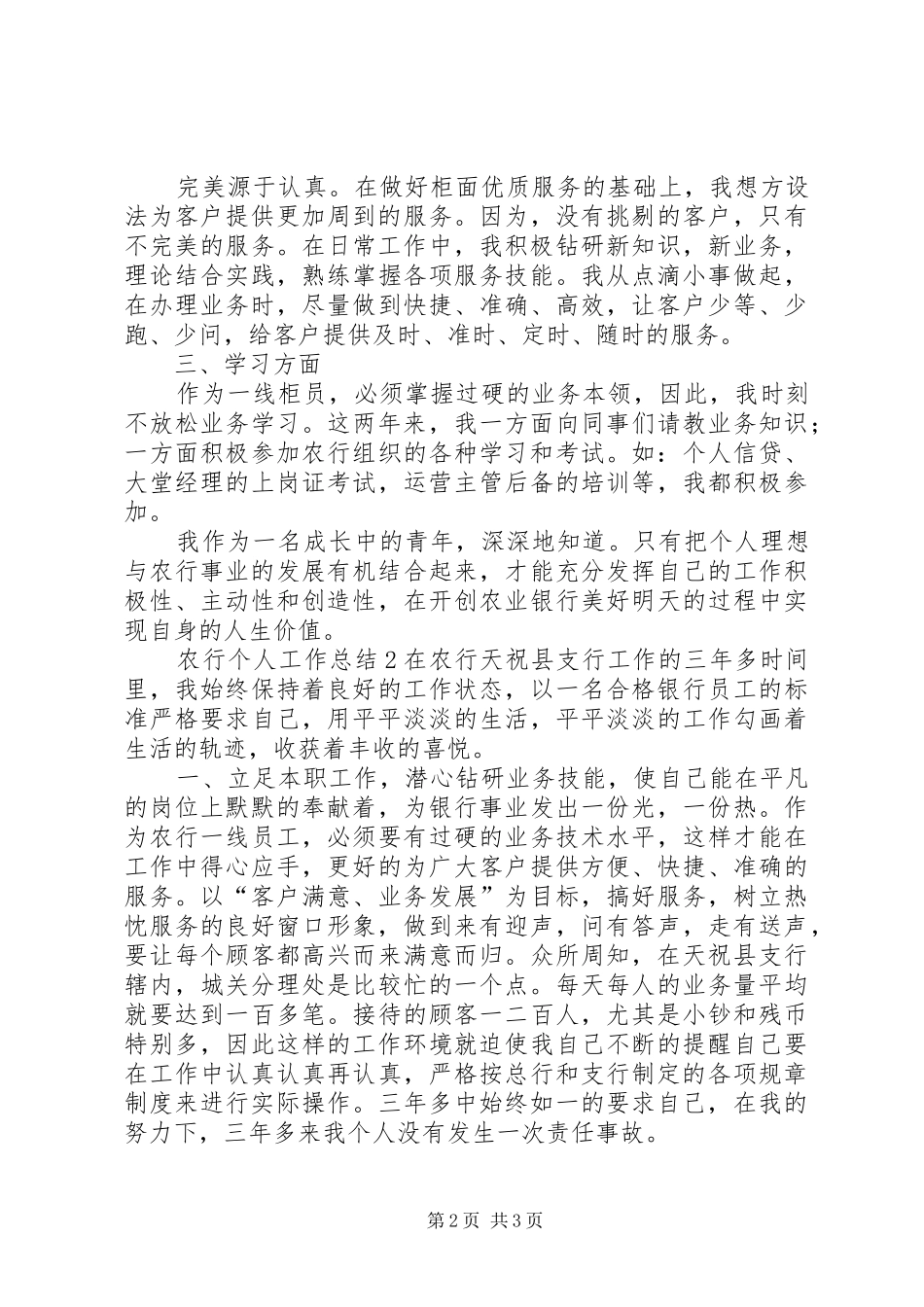 农行个人工作总结_第2页