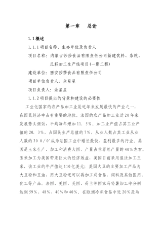 新建饮料、杂粮、瓜籽加工生产线项目可行性研究报告