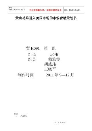 国际营销策划书