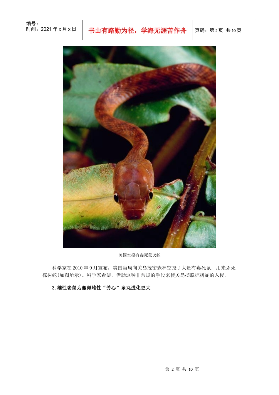 XXXX十大新闻故事_第2页