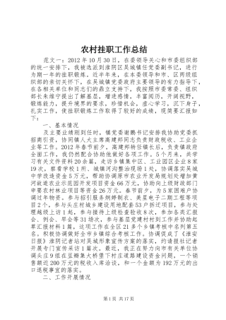 农村挂职工作总结