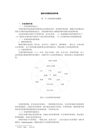 国际市场营销宏观环境分析报告