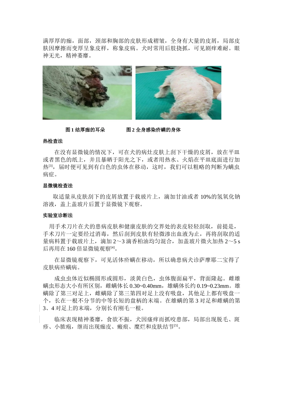 一例犬疥螨病的诊断、治疗与预防 _第3页