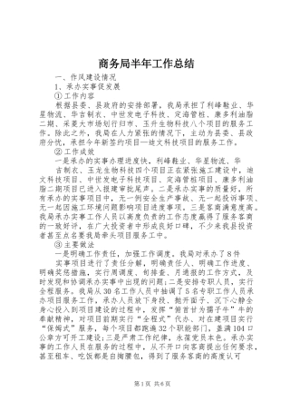 商务局半年工作总结 (30)