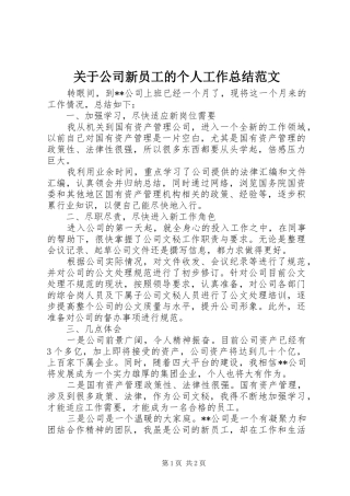 关于公司新员工的个人工作总结范文