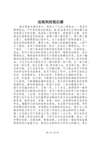 巡视利剑观后感