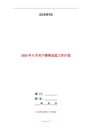 2024年6月关于销售总监工作计划
