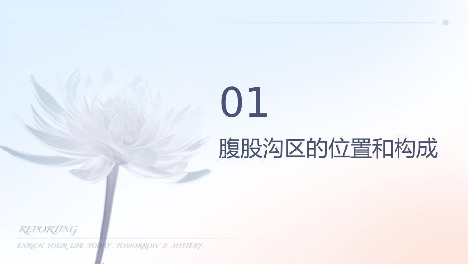 腹股沟区解剖课件_第3页