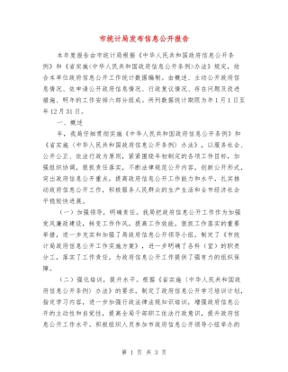 市统计局发布信息公开报告