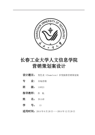 11052113李小祥插排营销策划案
