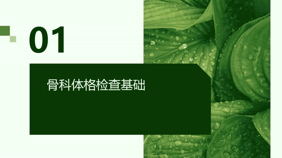 骨科常见体格检查课件_第3页